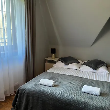 Muzykant
